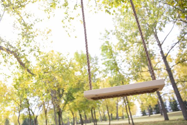 Tree Swing Installation in Port Saint Lucie
